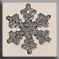 Medium Snowflake 16mm