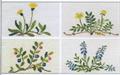 VILDE BLOMSTER 3 - Danish Handcrafts Guild