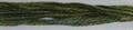 Gloriana 12 ply Stranded Silk 4 yard skeins - #116 Olive Grove