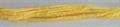 Gloriana 12 ply Stranded Silk 6 yard skeins - #004 Narcissus