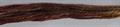 Gloriana 12 ply Stranded Silk 6 yard skeins - #010 Winter Woods