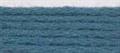 Needlepoint Silk Floss - 565 - Iris Blue Range